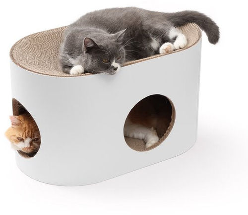 Jake und Jacky Kratzpappe für...