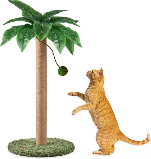 Jake und Jacky Kratzbaum für...