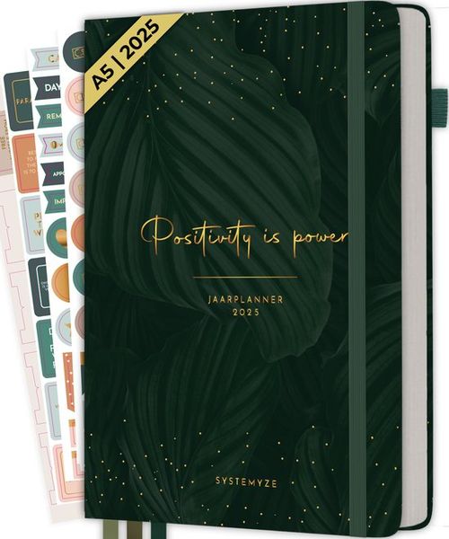 Systemyze Agenda 2025...