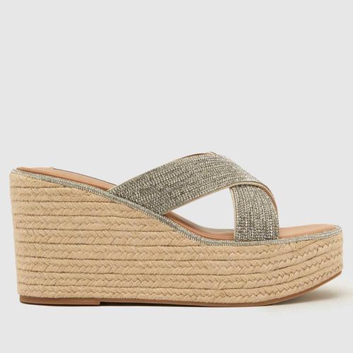 Steve Madden jelisa mule...