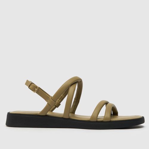 schuh tulsi strippy flat...