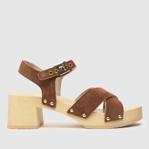 SCHOLL pescura cate sandals...