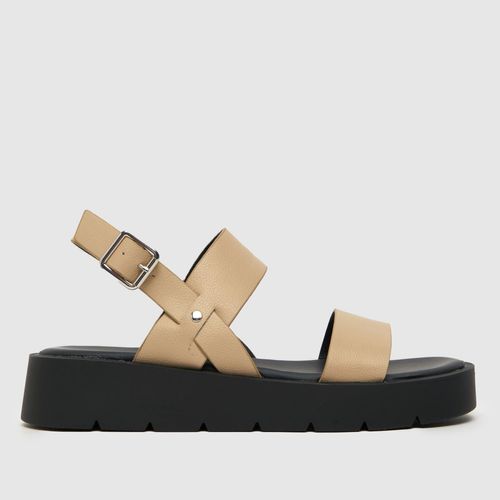 schuh tayla chunky sandals in...