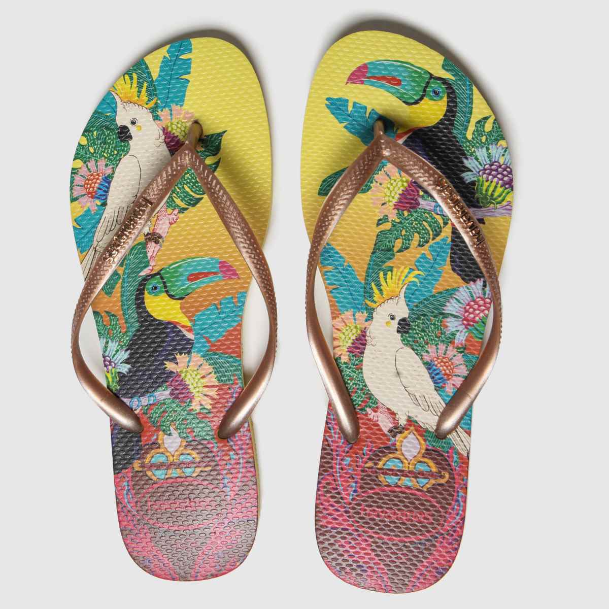 schuh havaianas