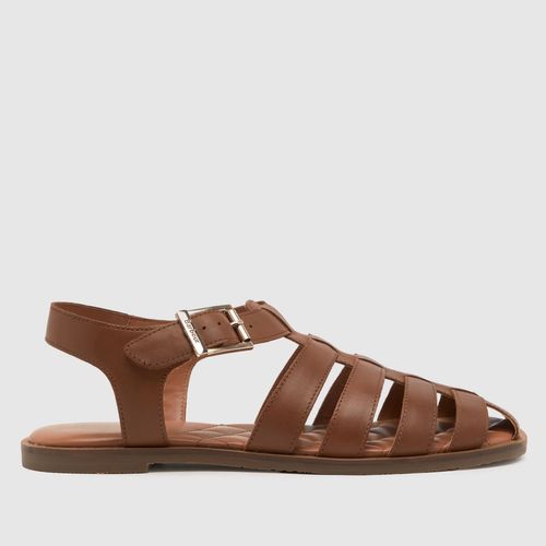 Barbour macy sandals in brown
