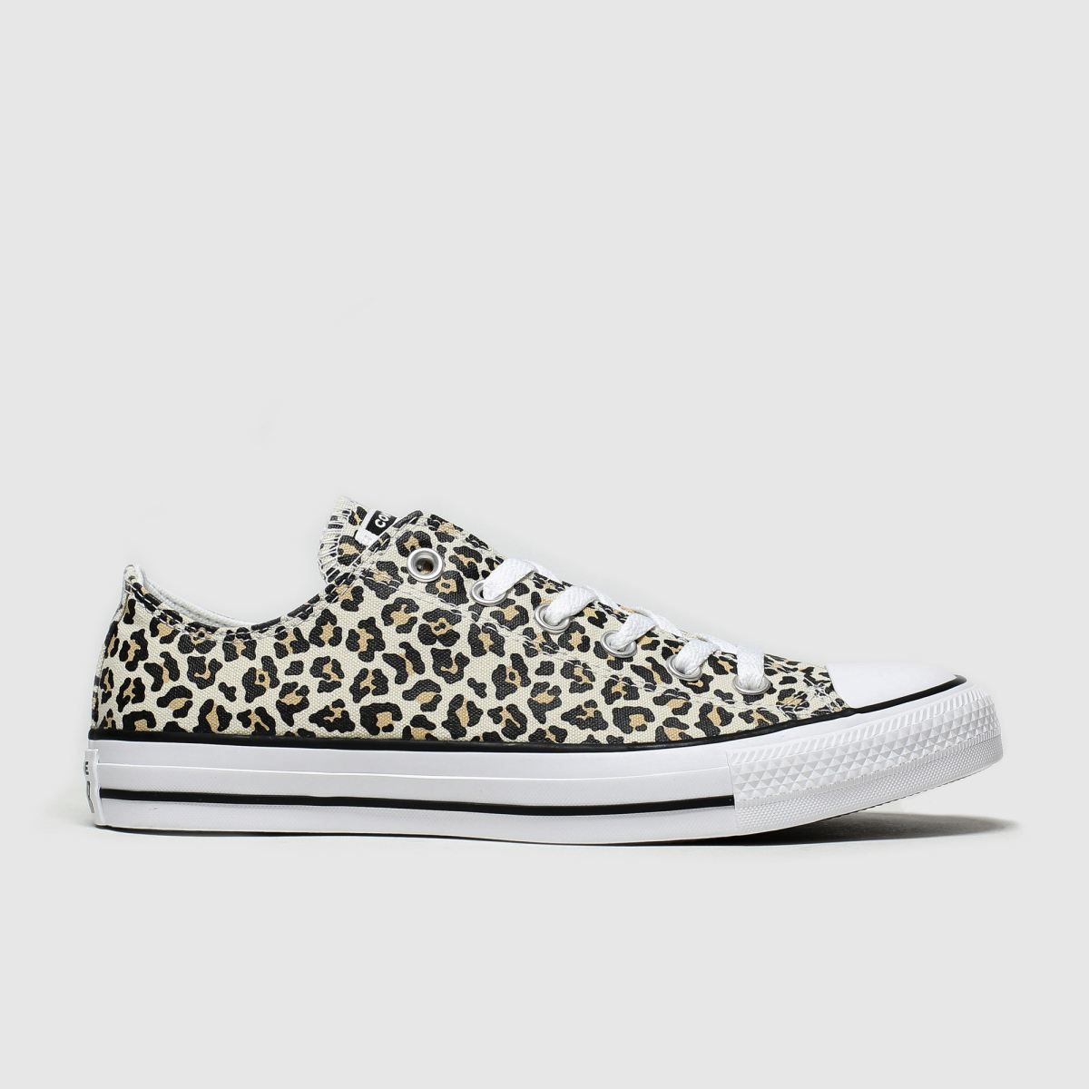 leopard print converse trainers