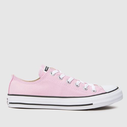 Converse all star ox trainers...