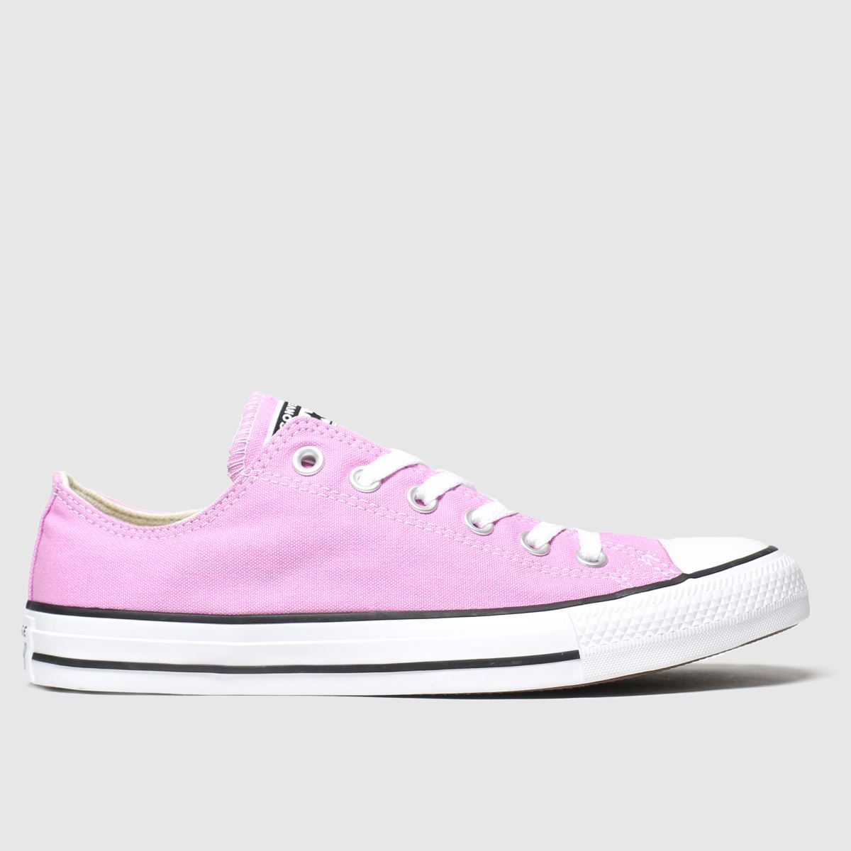 converse all star coral craft pu ox trainers