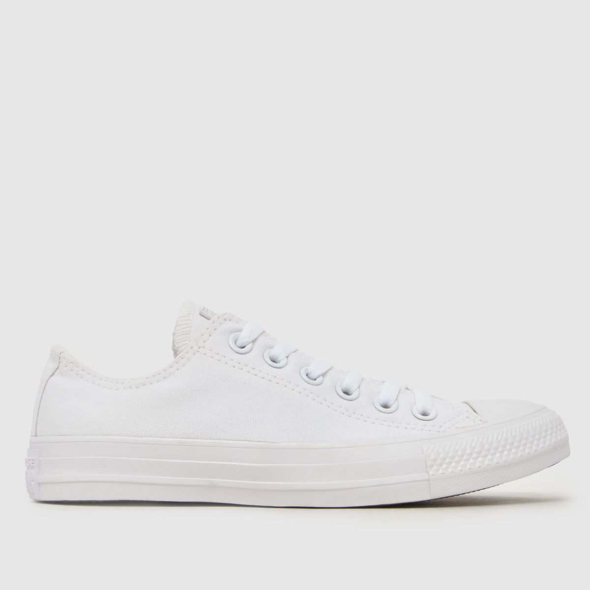 Converse White All Star Oxford Mono 