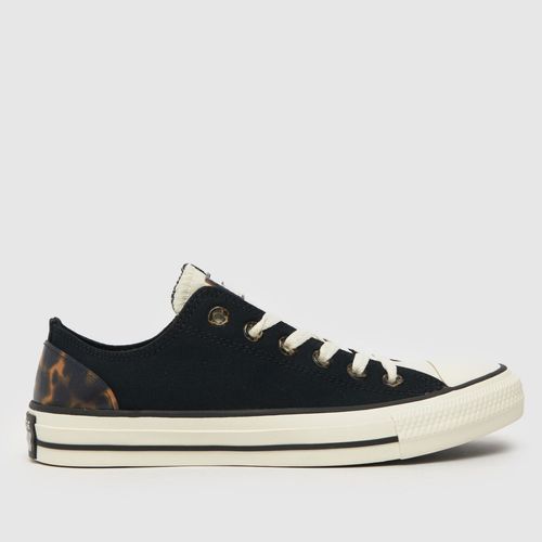 Converse all star ox tortoise...