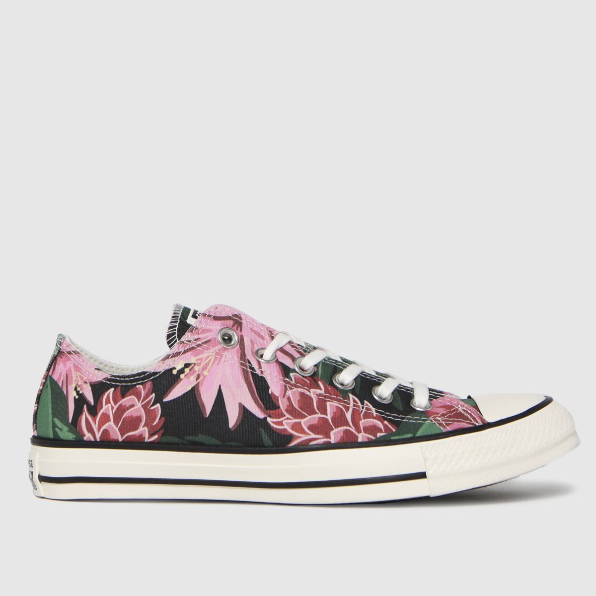 converse jungle scene