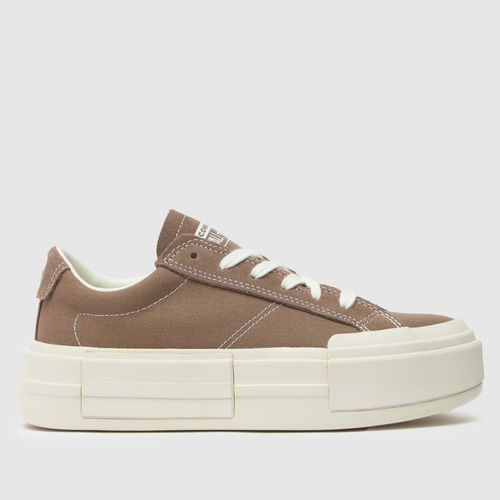 Converse all star cruise ox trainers in brown