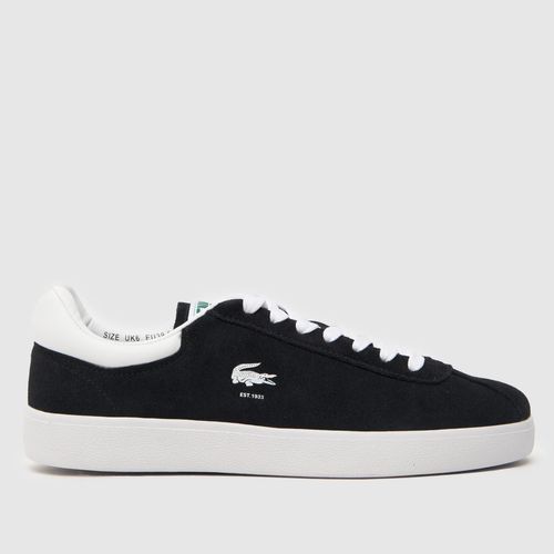 Lacoste baseshot trainers in...