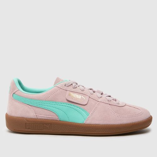 PUMA palermo trainers in pink...