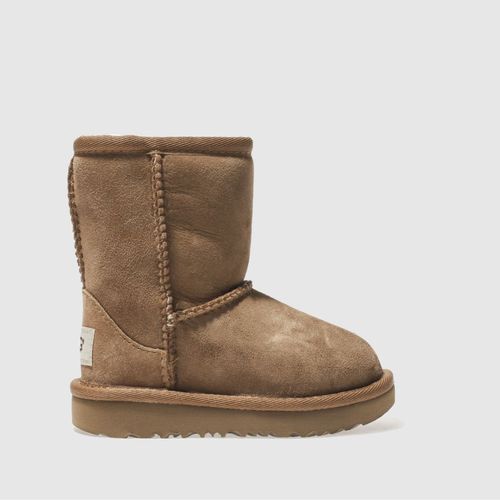 UGG chestnut classic ii...