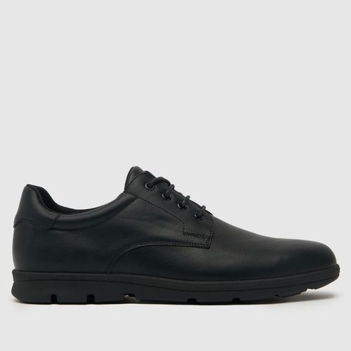 schuh rami derby shoes in...