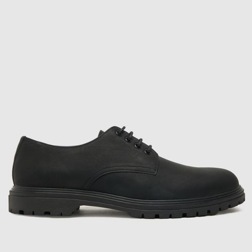 schuh paul lace-up shoes in...