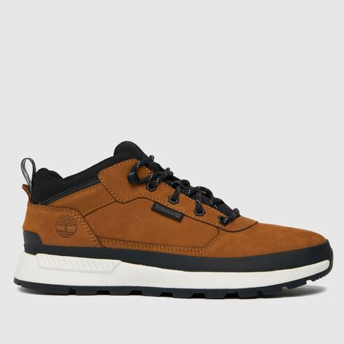 Timberland field trekker low...