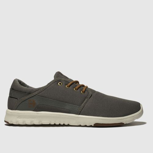 Etnies scout trainers in grey