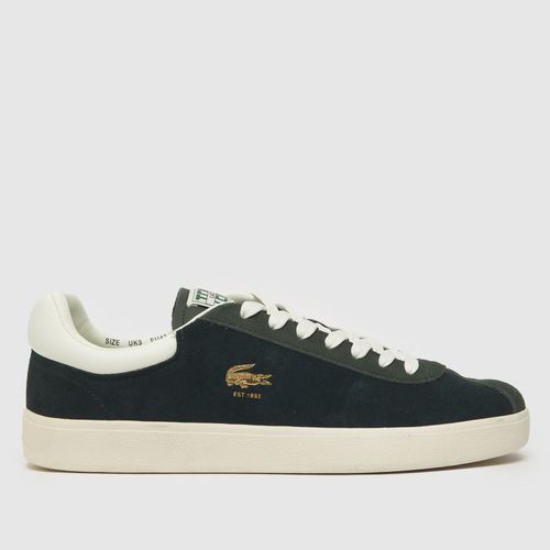 Lacoste baseshot trainers in...