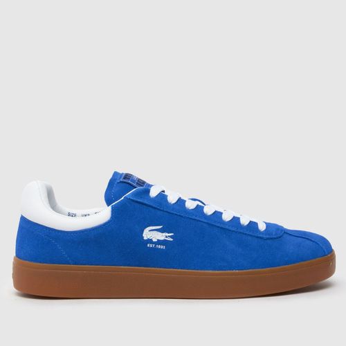 Lacoste baseshot trainers in...