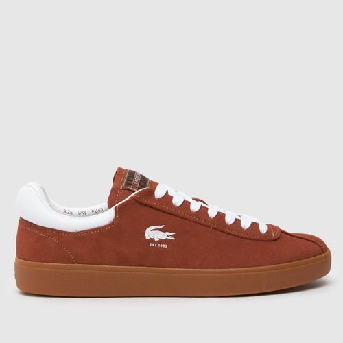 Lacoste baseshot trainers in...