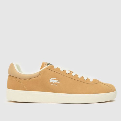 Lacoste baseshot trainers in...