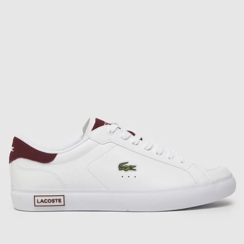 Lacoste powercourt trainers...