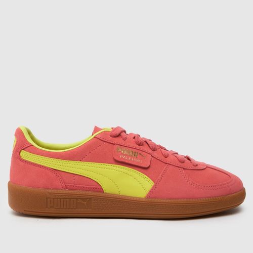 PUMA palermo trainers in...