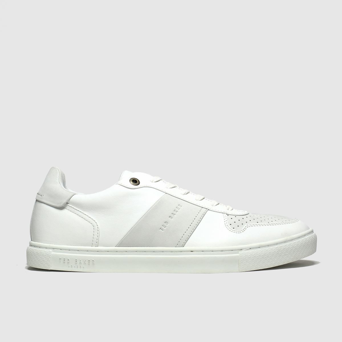 ted baker werill trainers