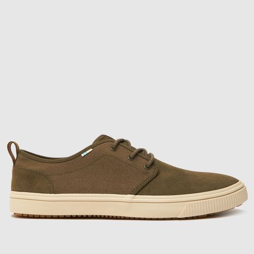 TOMS carlo terrain trainers...