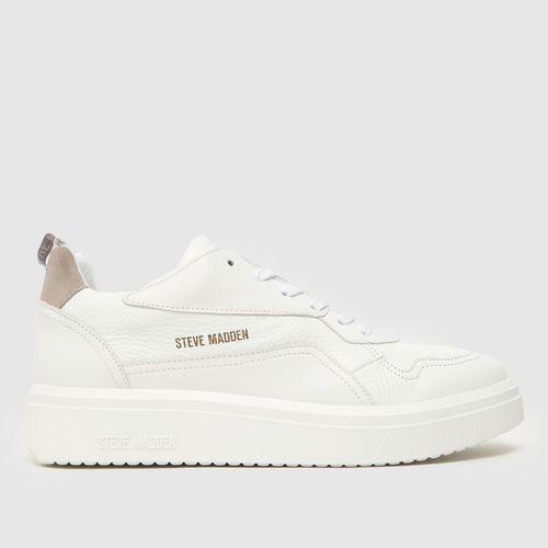 Steve Madden flo trainers in...