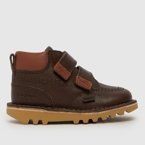 Kickers brown hi roll Boys...