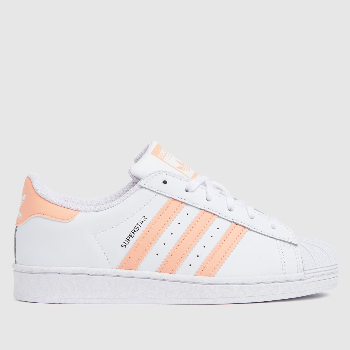 superstar trainers junior