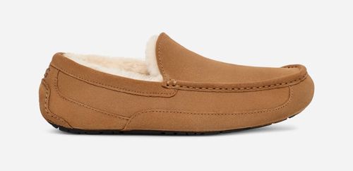 UGG® Ascot Slipper in Brown,...