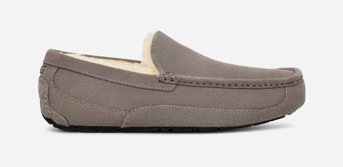 UGG® Ascot Slipper in Grey,...