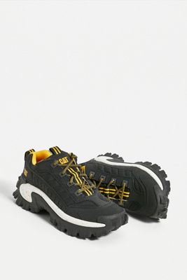 cat intruder pirate black
