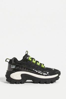 cat intruder pirate black