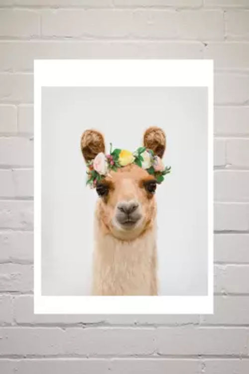 Boho Llama Wall Art Print -...