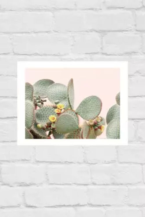 Sisi & Seb Bloom Cactus Wall...