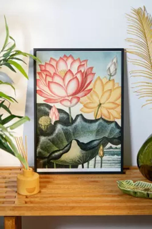 Water Lotus Wall Art Print -...