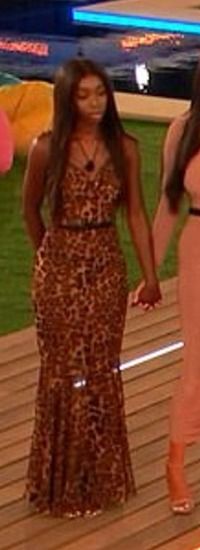 i saw it first leopard print dress