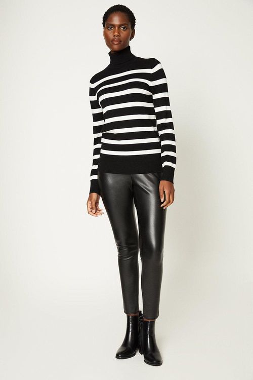 Womens Stripe Roll Neck Jumper