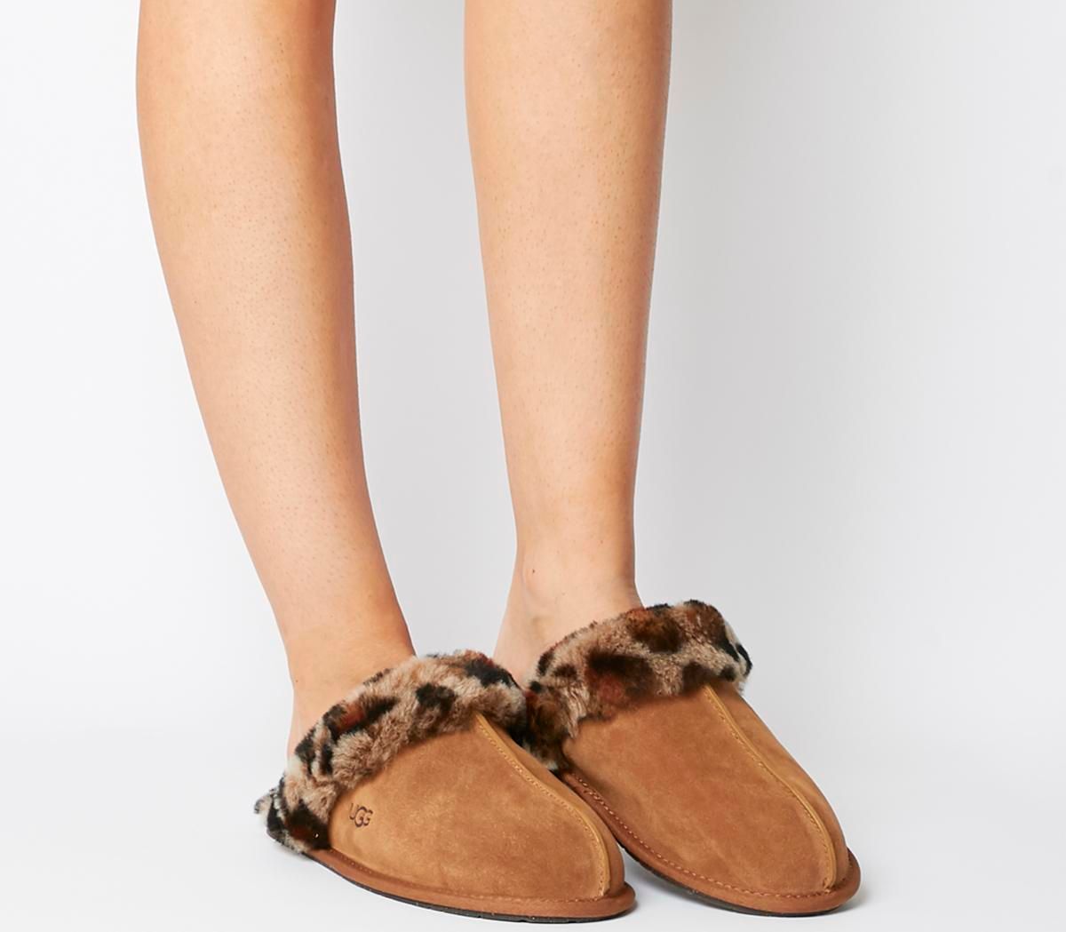 ugg scuffette slippers office