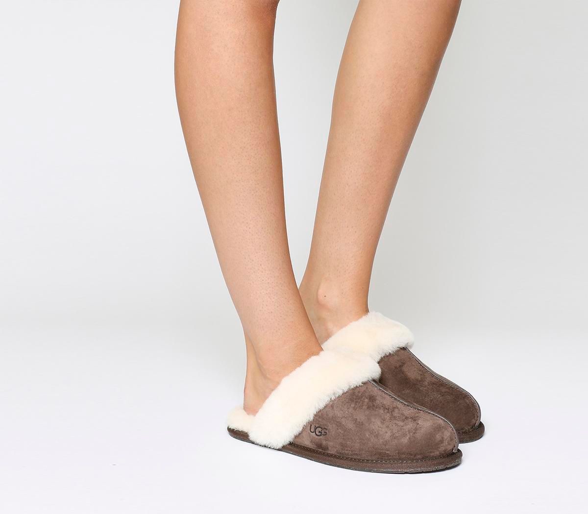 ugg espresso slippers