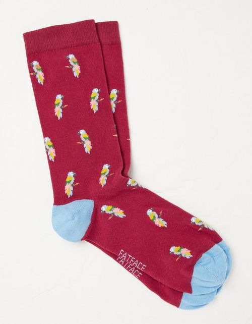 Mens One Pack Parrot Socks