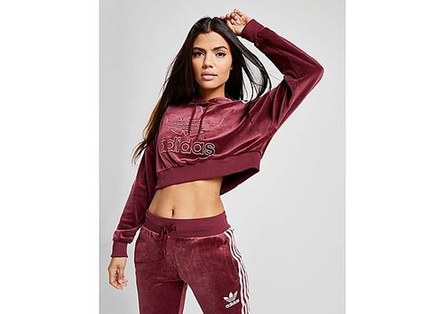 Selección conjunta Dificil cadena adidas Originals 3-Stripes Velvet Overhead Hoodie - Maroon - Womens |  Compare | Union Square Aberdeen Shopping Centre