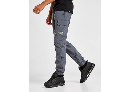 Grey The North Face Trishul Cargo Track Pants JD Sports Global | lupon