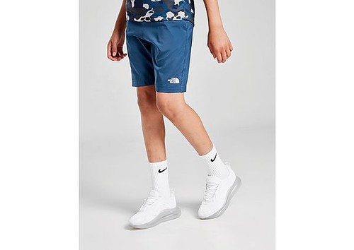 The North Face Reactor Shorts...