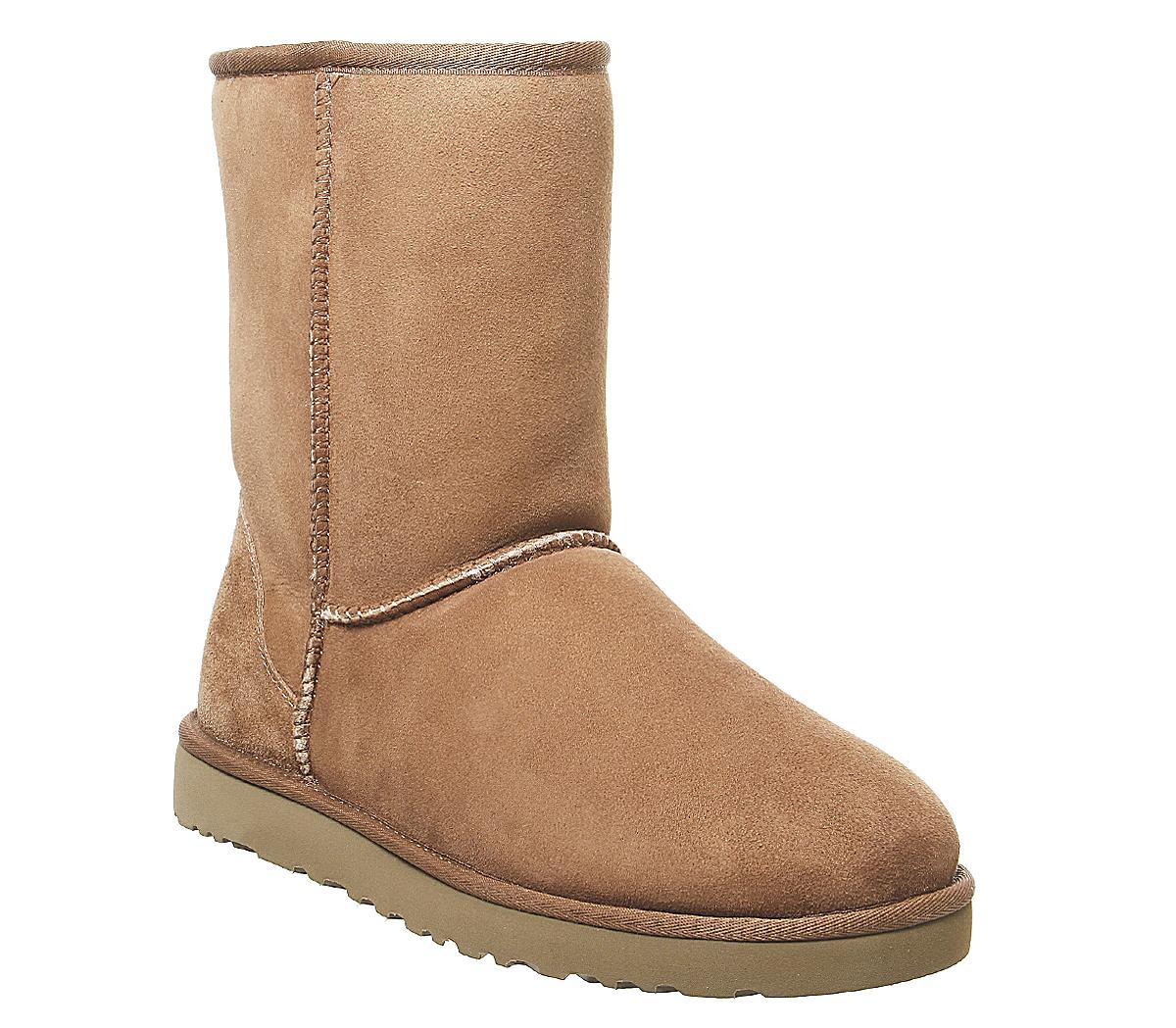 ugg bluewater